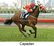 Capadan (15541 bytes)