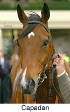 Capadan (15541 bytes)