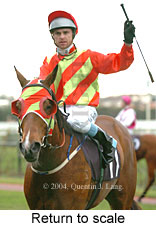 Return to scale (18273 bytes)