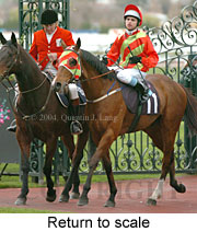 Return to scale (13739 bytes)