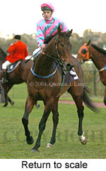 Return to scale (18273 bytes)