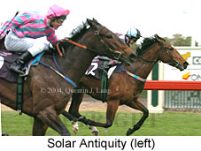 Solar Antiquity (15541 bytes)