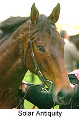 Solar Antiquity (15541 bytes)