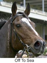 r1offtosea2.jpg (8043 bytes)