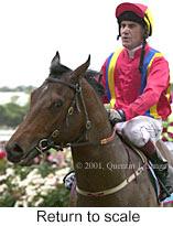 r2rtosc.jpg (9203 bytes)