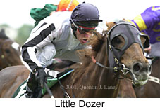 r5littledozer.jpg (13968 bytes)