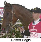 r6deserteagle2.jpg (7353 bytes)