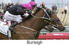 r7burleigh.jpg (10498 bytes)