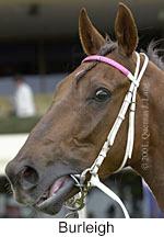 r7burleigh2.jpg (8033 bytes)