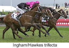 r7inghamhawkestrifecta.jpg (11488 bytes)