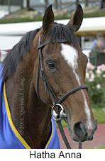 r8hathaanna2.jpg (9063 bytes)