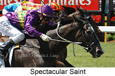 Spectacular Saint (18507 bytes)