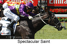 Spectacular Saint (18507 bytes)