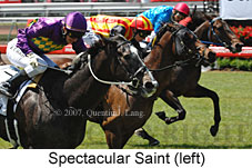 Spectacular Saint (18507 bytes)