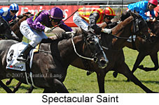 Spectacular Saint (18507 bytes)