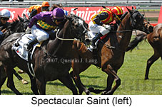 Spectacular Saint (18507 bytes)