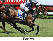 Partiva (18507 bytes)