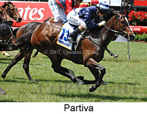 Partiva (18507 bytes)