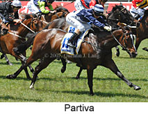 Partiva (18507 bytes)