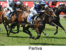 Partiva (18507 bytes)