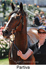 Partiva (18507 bytes)