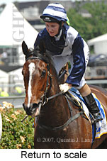 Return to scale (17769 bytes)