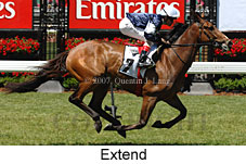 Extend (18507 bytes)