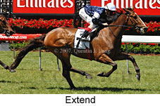 Extend (18507 bytes)