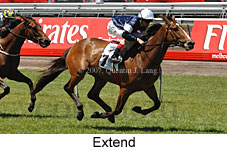 Extend (18507 bytes)