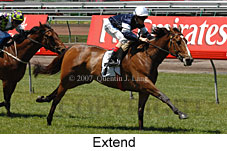 Extend (18507 bytes)