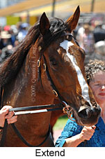 Extend (18507 bytes)