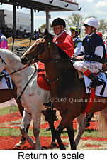 Return to scale (17769 bytes)