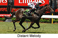 Distant Melody (18507 bytes)