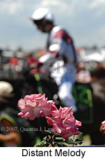 Distant Melody (18507 bytes)