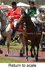 Return to scale (17769 bytes)