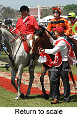 Return to scale (17769 bytes)