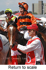 Return to scale (17769 bytes)