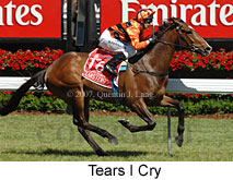Tears I Cry (17076 bytes)