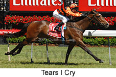 Tears I Cry (18507 bytes)