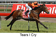Tears I Cry (18507 bytes)