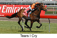 Tears I Cry (18507 bytes)