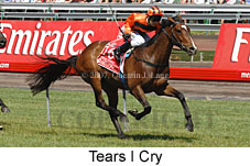Tears I Cry (18507 bytes)