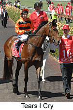 Tears I Cry (18507 bytes)