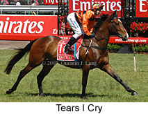 Tears I Cry (18507 bytes)
