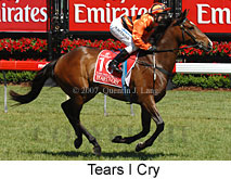 Tears I Cry (18507 bytes)