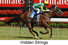 Hidden Strings (18507 bytes)