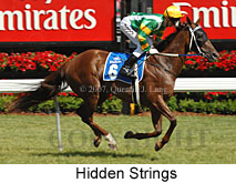 Hidden Strings (18507 bytes)