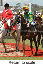 Return to scale (17769 bytes)