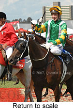 Return to scale (17769 bytes)