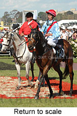 Return to scale (17769 bytes)